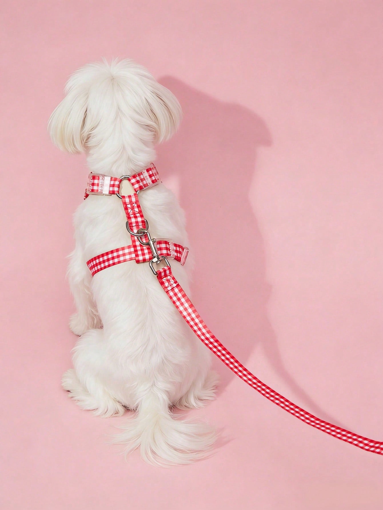 Multicolor cartoon pattern polyester pet harness and leash set with adjustable harness length for cats and dogs
