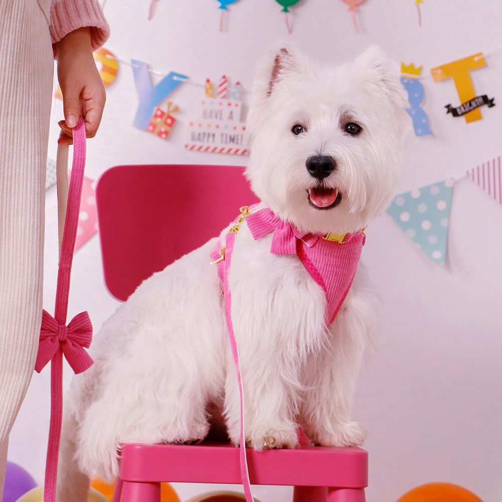 Rose red velvet bow dog collar, leash, and harness set for cats and dogs, made with polyester for everyday pet walks and styling.