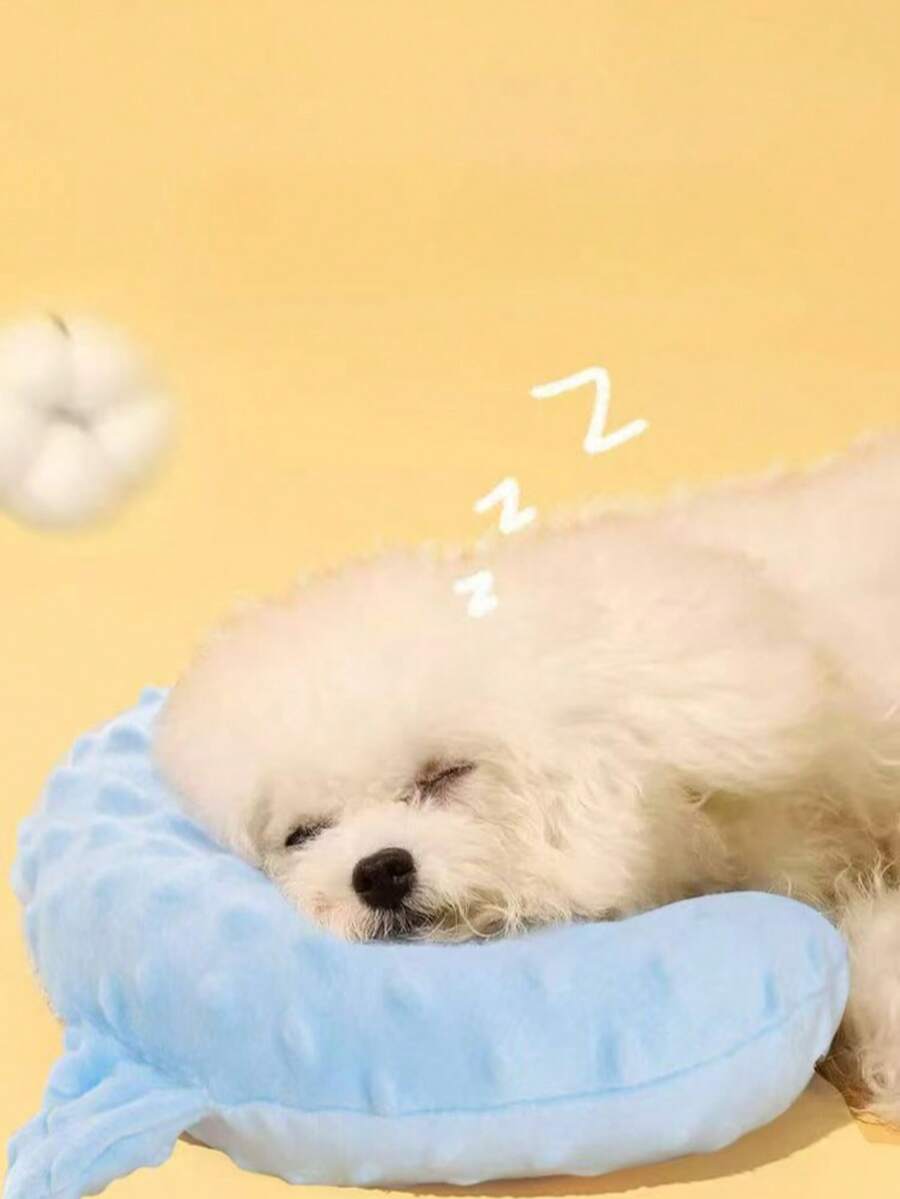 Multicolor small round bean plush pet pillow made of soft polyester for small animals, cats, and dogs.