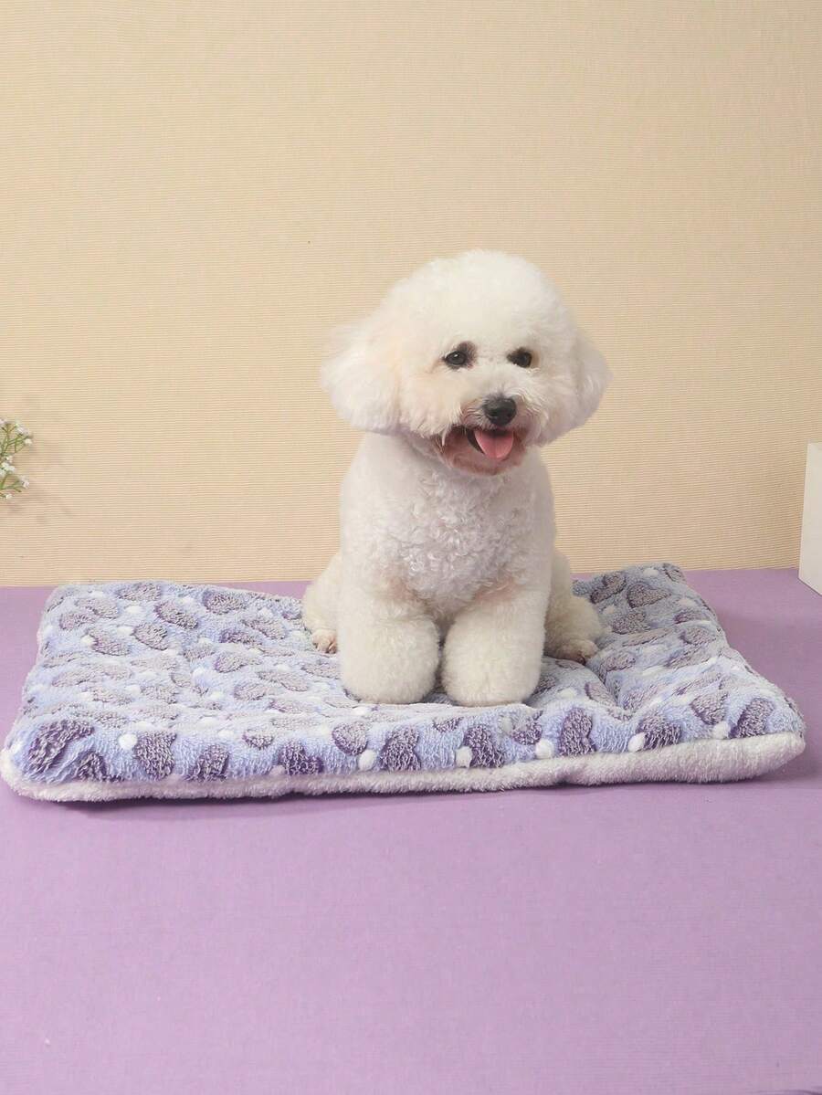 Multicolor thick pet bed pad made of 100% polyester fiber, suitable for small and medium cats and dogs.