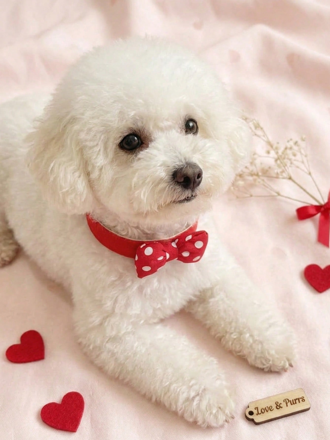 Multicolor polyester polka dot pet collar scarf for cats and dogs with festive decorative styling