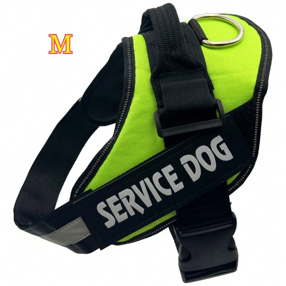 Multicolor polyester reflective chest strap dog harness leash with letter pattern, suitable for medium and large dogs and also cats
