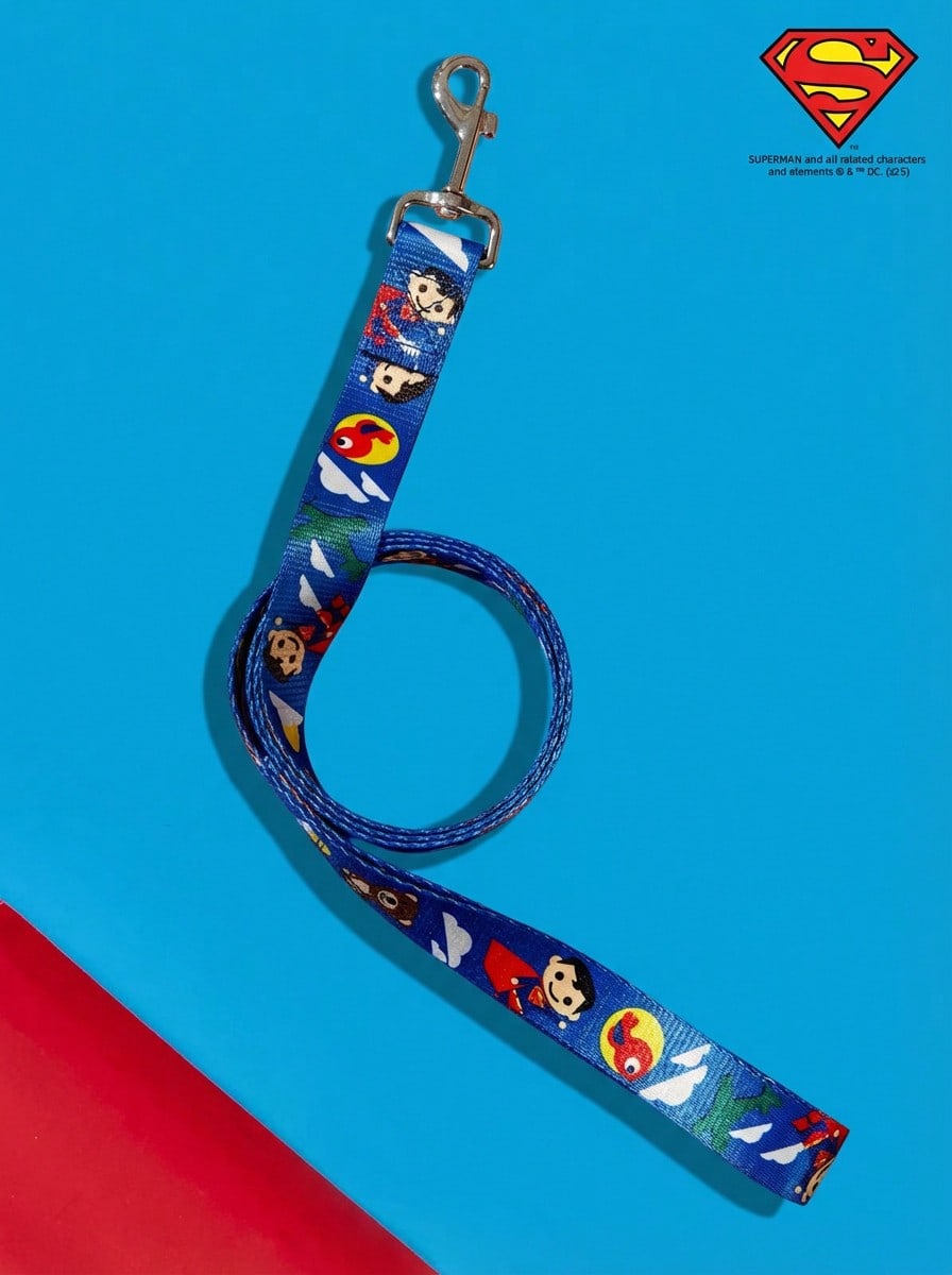 Multicolor nylon dog leash with cartoon letter print for dogs