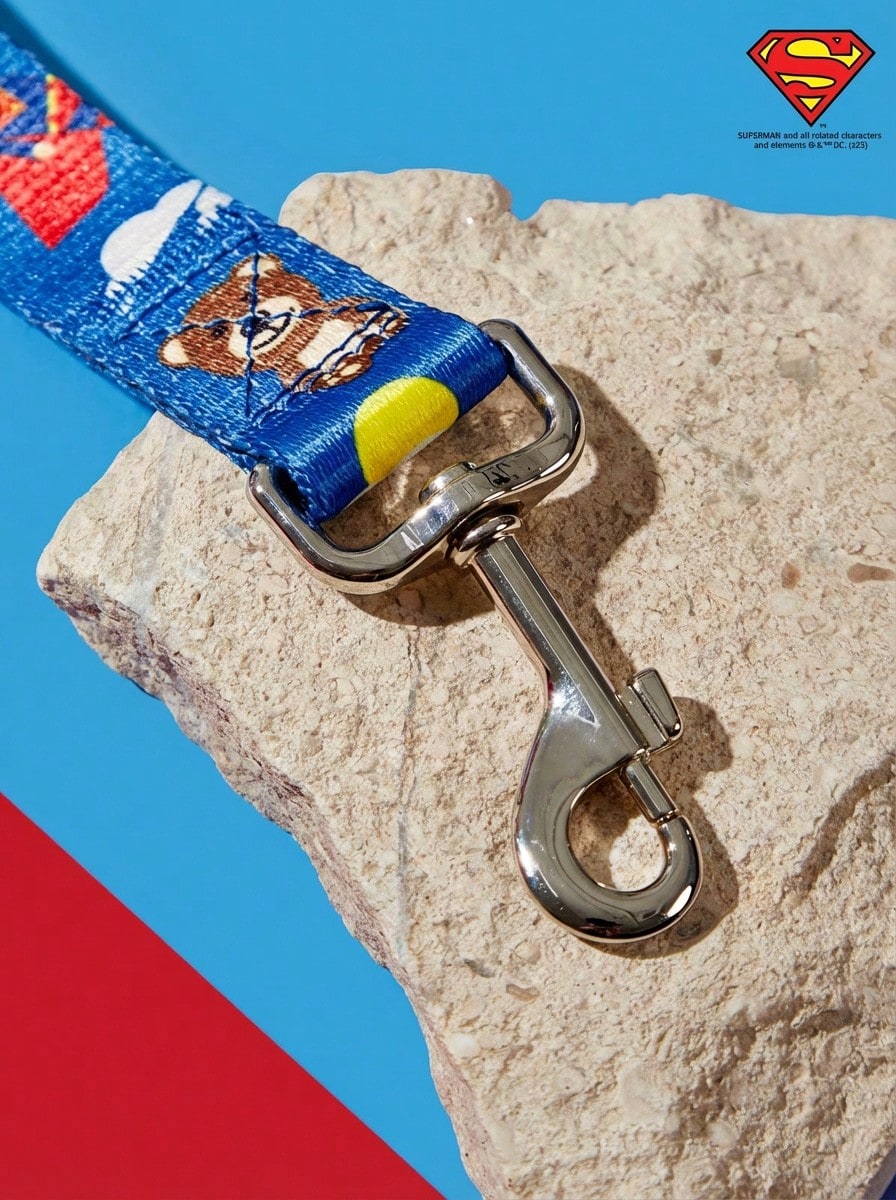 Multicolor nylon dog leash with cartoon letter print for dogs