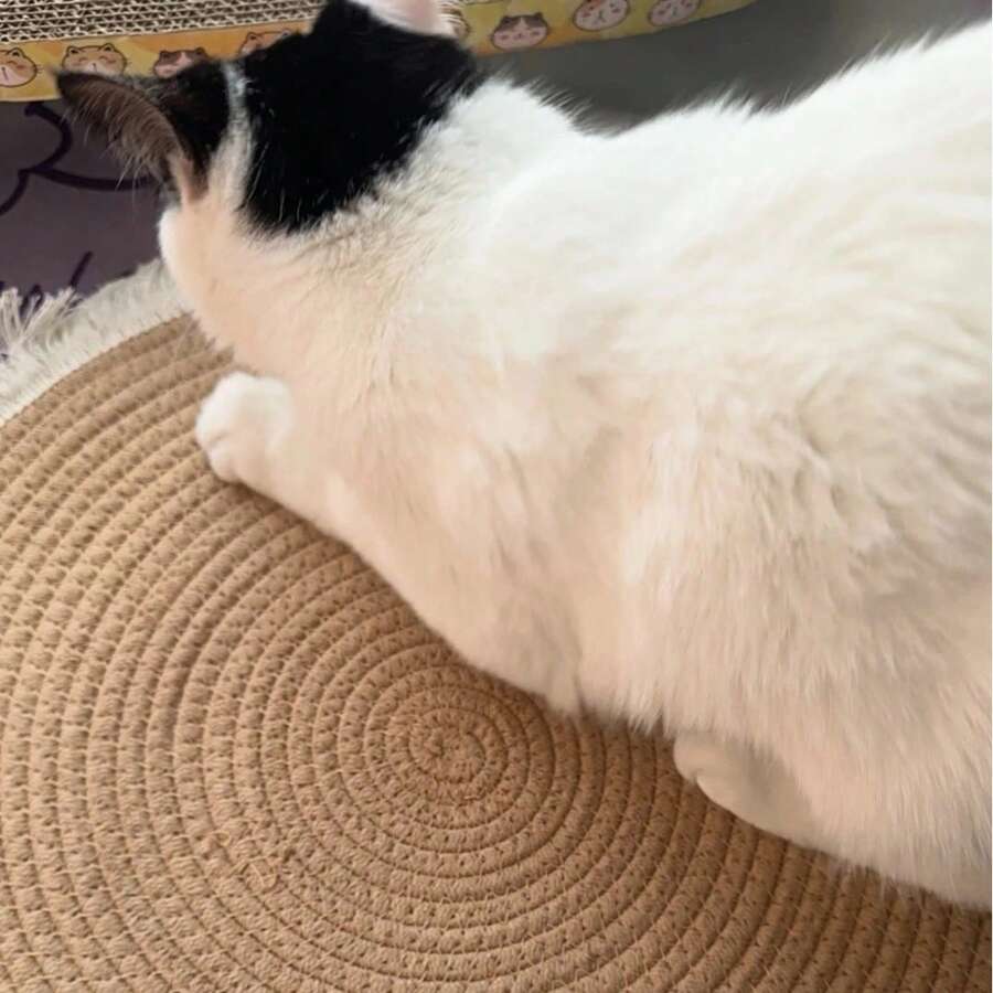 Multicolor non-shed rope woven cat scratching pad designed for pet scratching and lounging