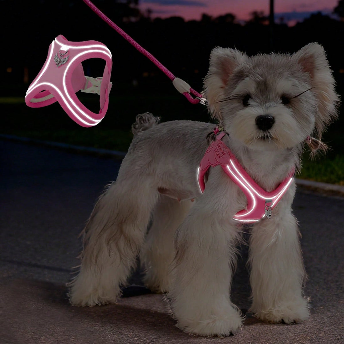 Multicolor colorblock step-in dog harness made of polyester breathable mesh with reflective safety details for small dogs and cats