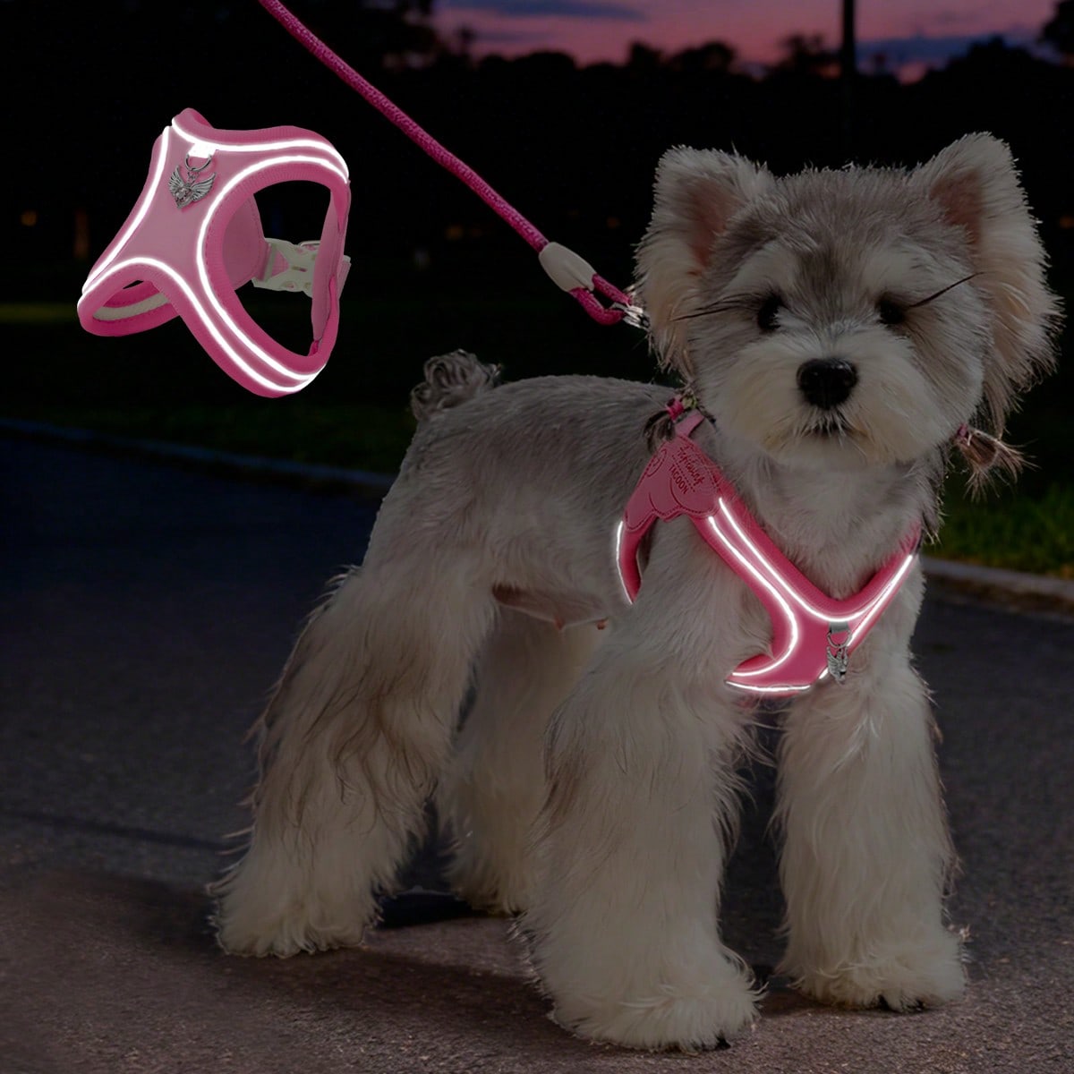 Multicolor colorblock step-in dog harness made of polyester breathable mesh with reflective safety details for small dogs and cats