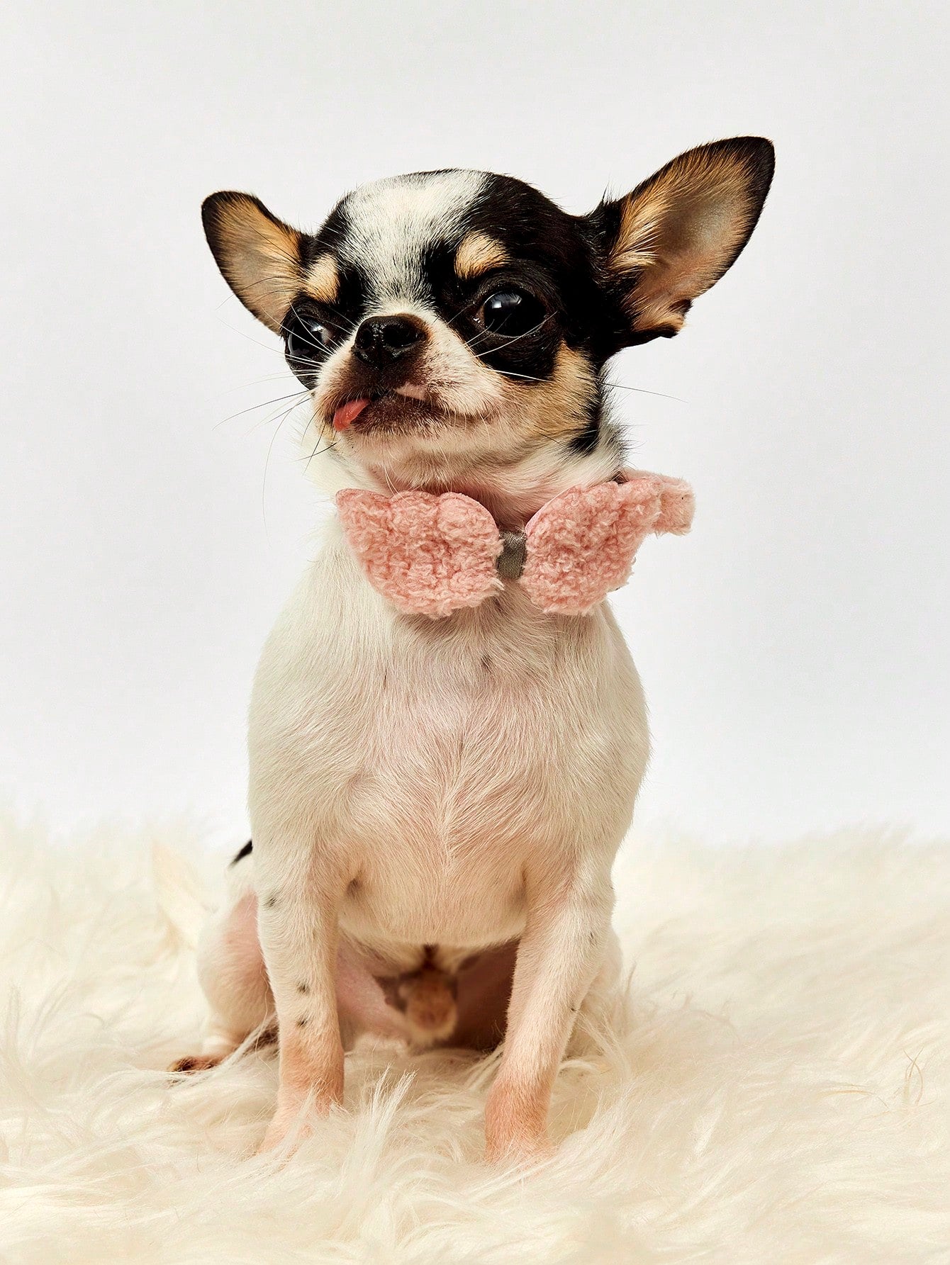 Multicolor adjustable soft plush pet collar with cute bell pendant for cats and small to medium dogs