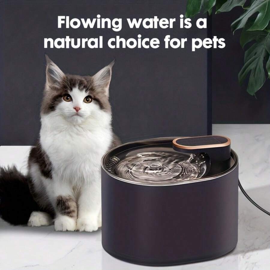 3L quiet pet water fountain with automatic circulation filtration system, USB powered for cats and dogs
