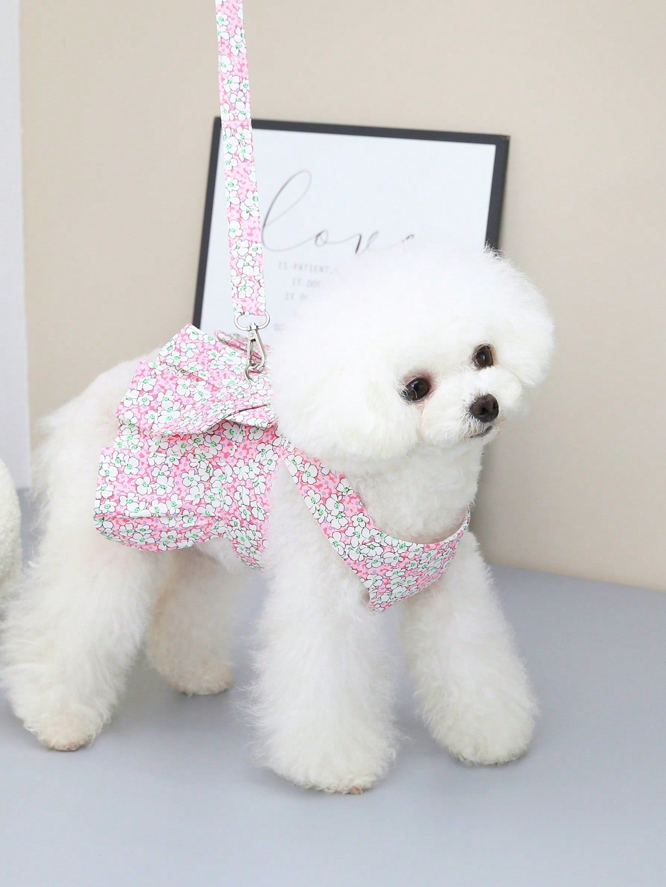 Multicolor pet harness skirt and fabric leash set with letter pattern for cats and dogs