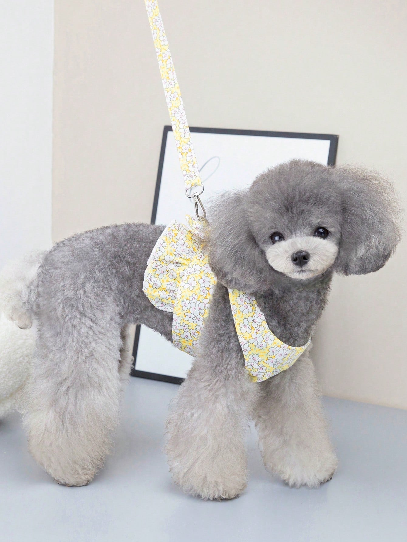 Multicolor pet harness skirt and fabric leash set with letter pattern for cats and dogs