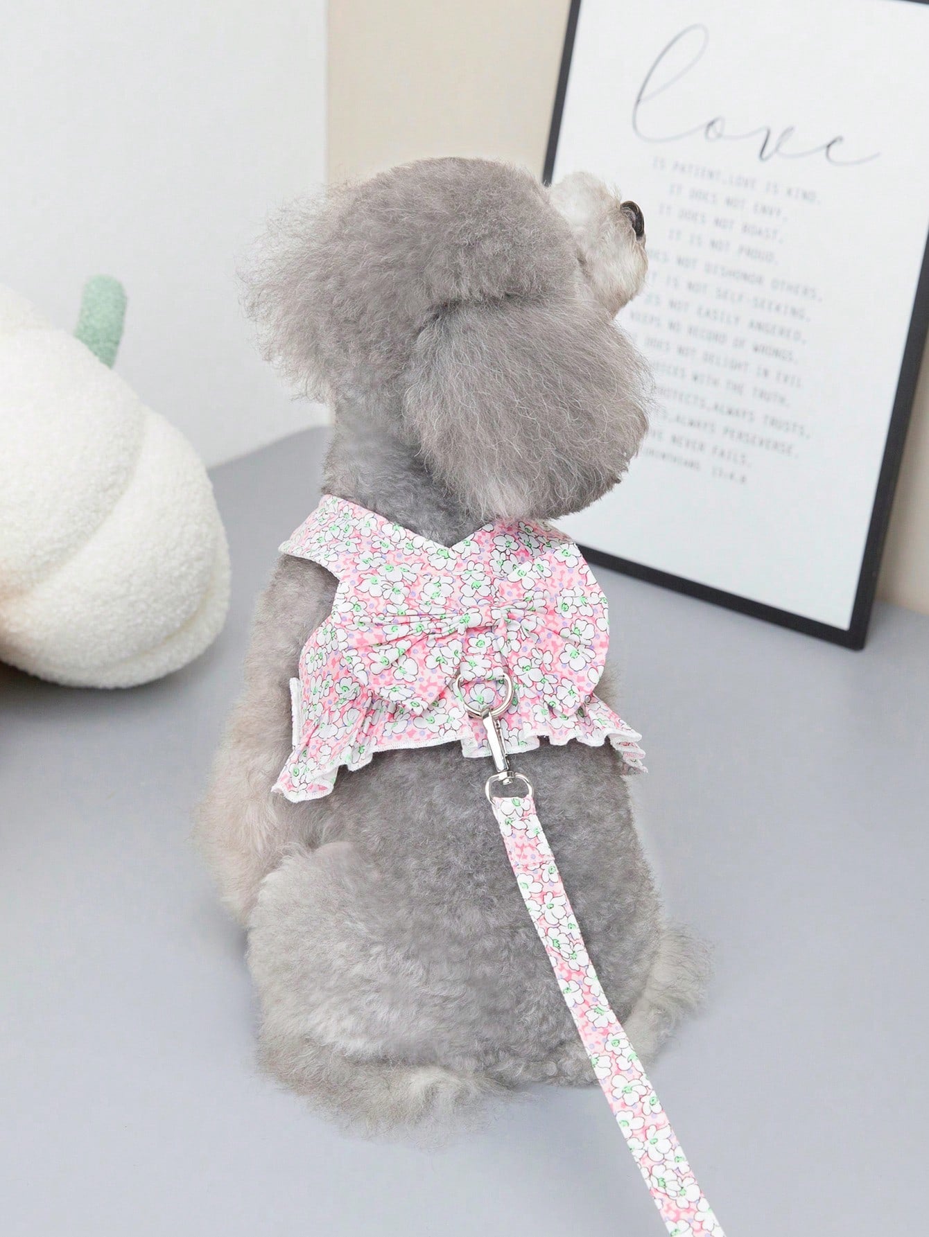 Multicolor pet harness skirt and fabric leash set with letter pattern for cats and dogs
