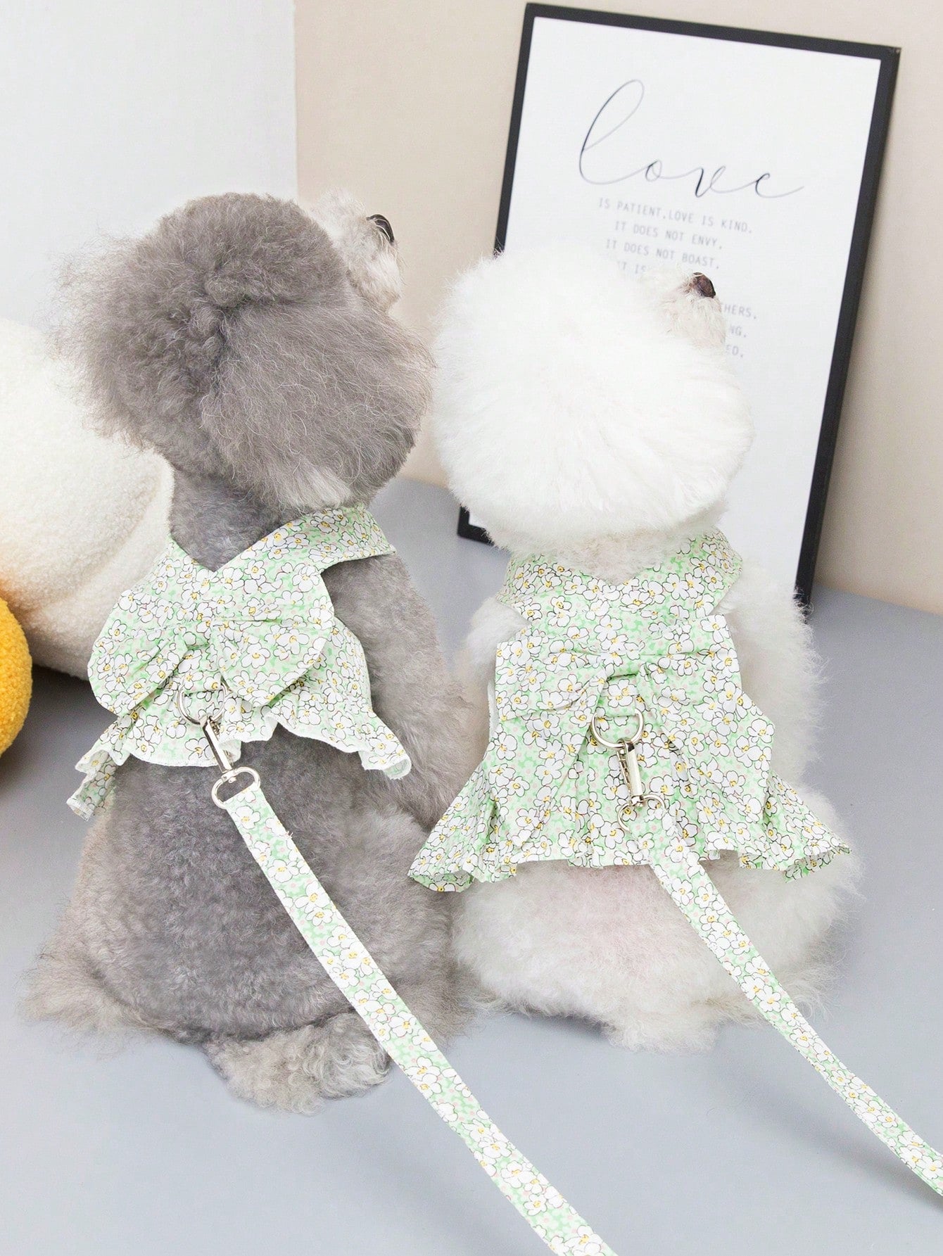 Multicolor pet harness skirt and fabric leash set with letter pattern for cats and dogs