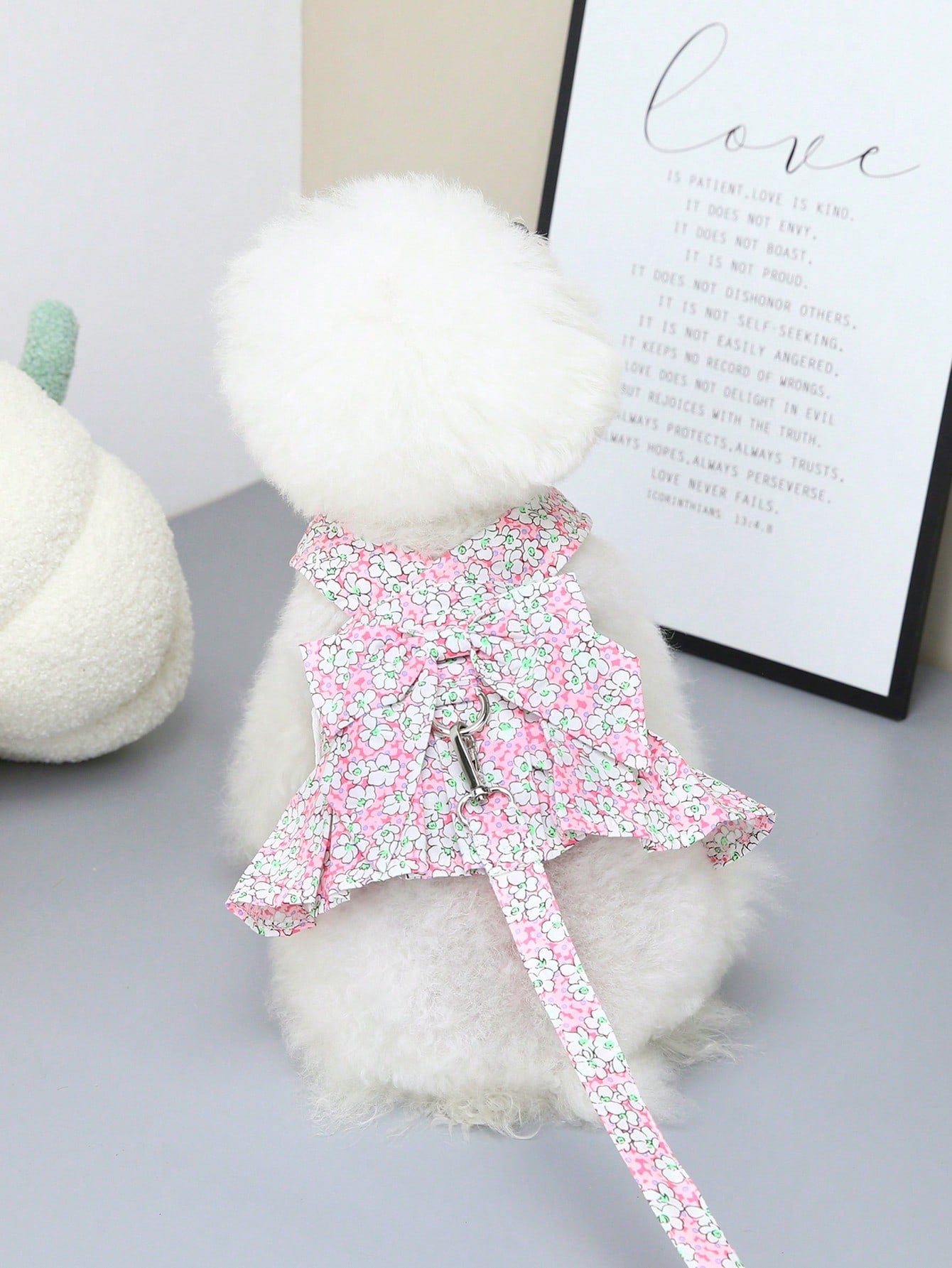Multicolor pet harness skirt and fabric leash set with letter pattern for cats and dogs