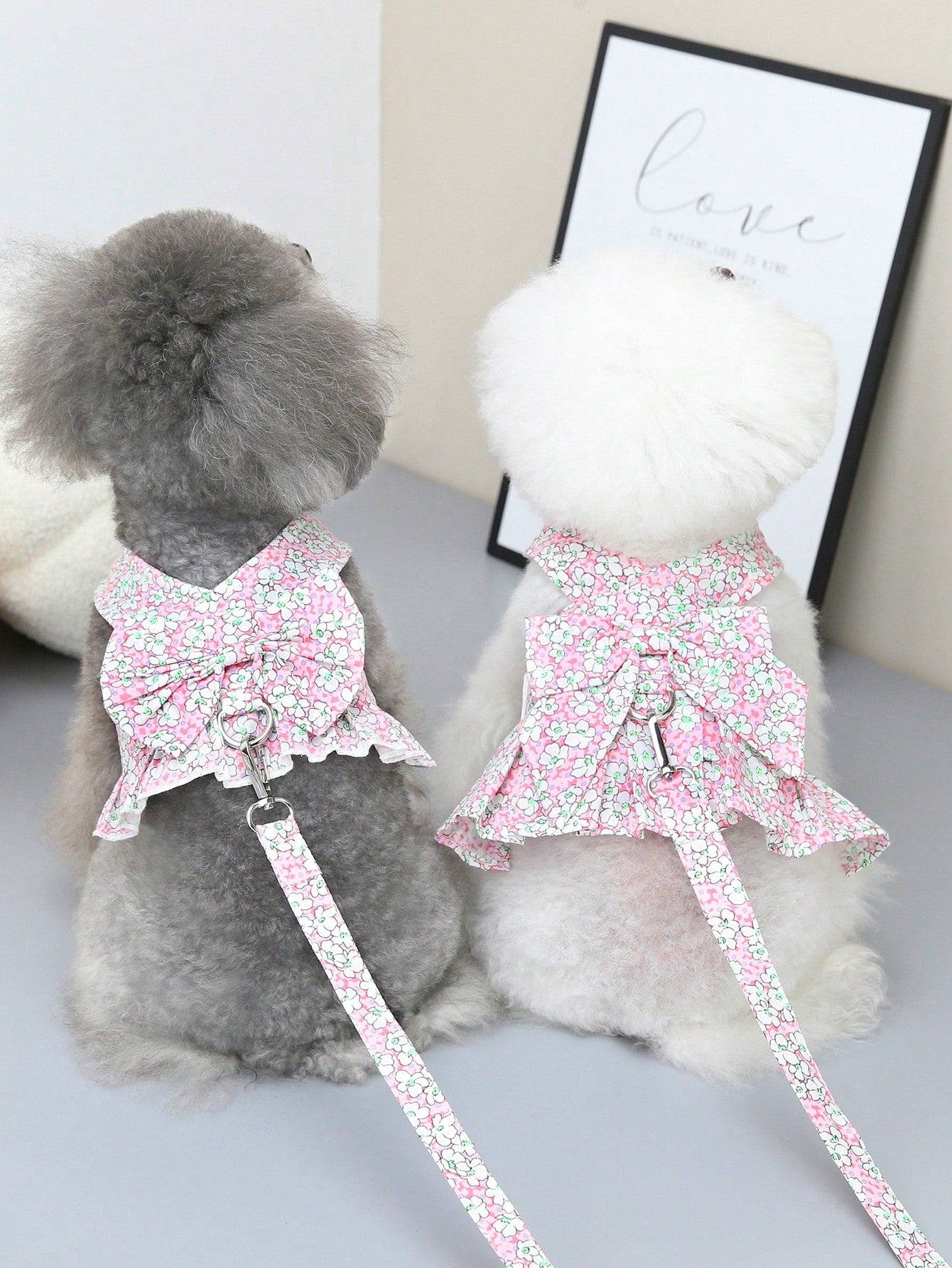 Multicolor pet harness skirt and fabric leash set with letter pattern for cats and dogs
