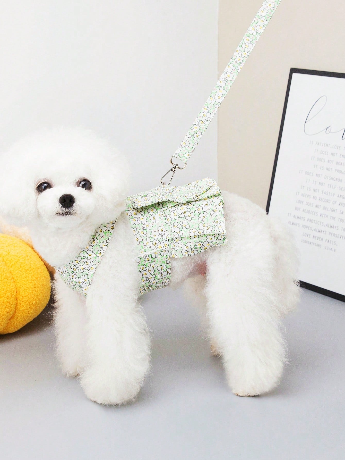 Multicolor pet harness skirt and fabric leash set with letter pattern for cats and dogs