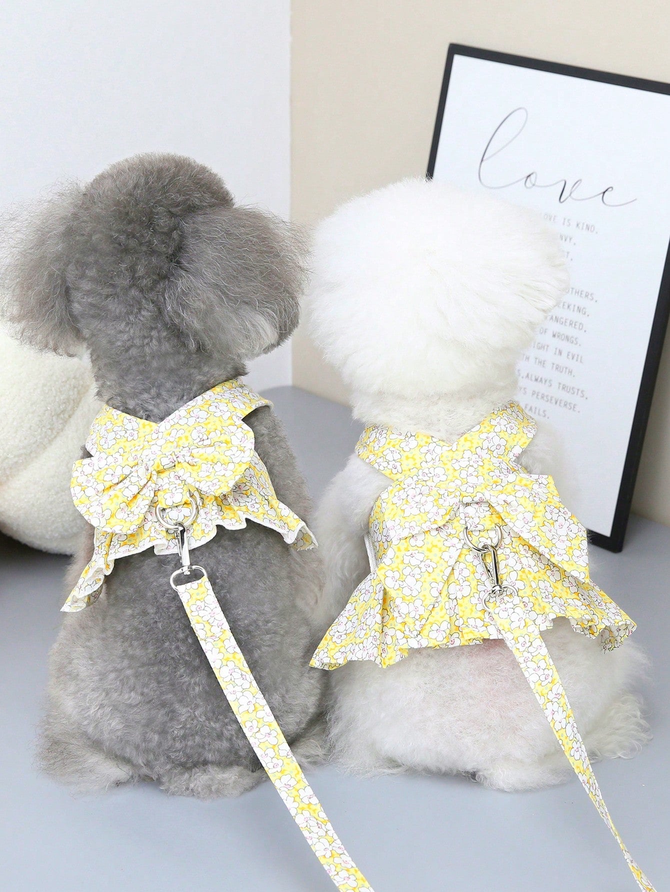 Multicolor pet harness skirt and fabric leash set with letter pattern for cats and dogs