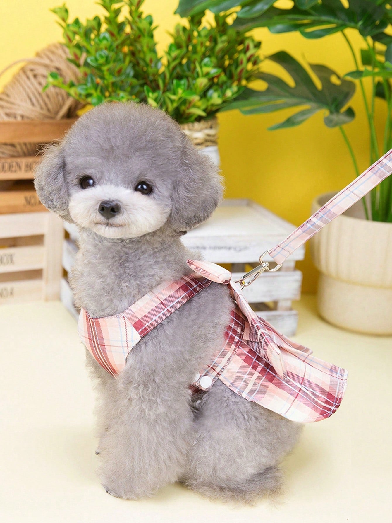 Multicolor plaid fabric pet harness skirt and leash set for cats and dogs, featuring a sweet skirt-style chest and back design for walking.
