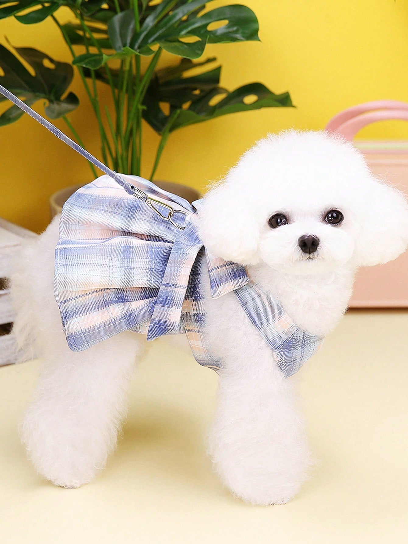 Multicolor plaid fabric pet harness skirt and leash set for cats and dogs, featuring a sweet skirt-style chest and back design for walking.