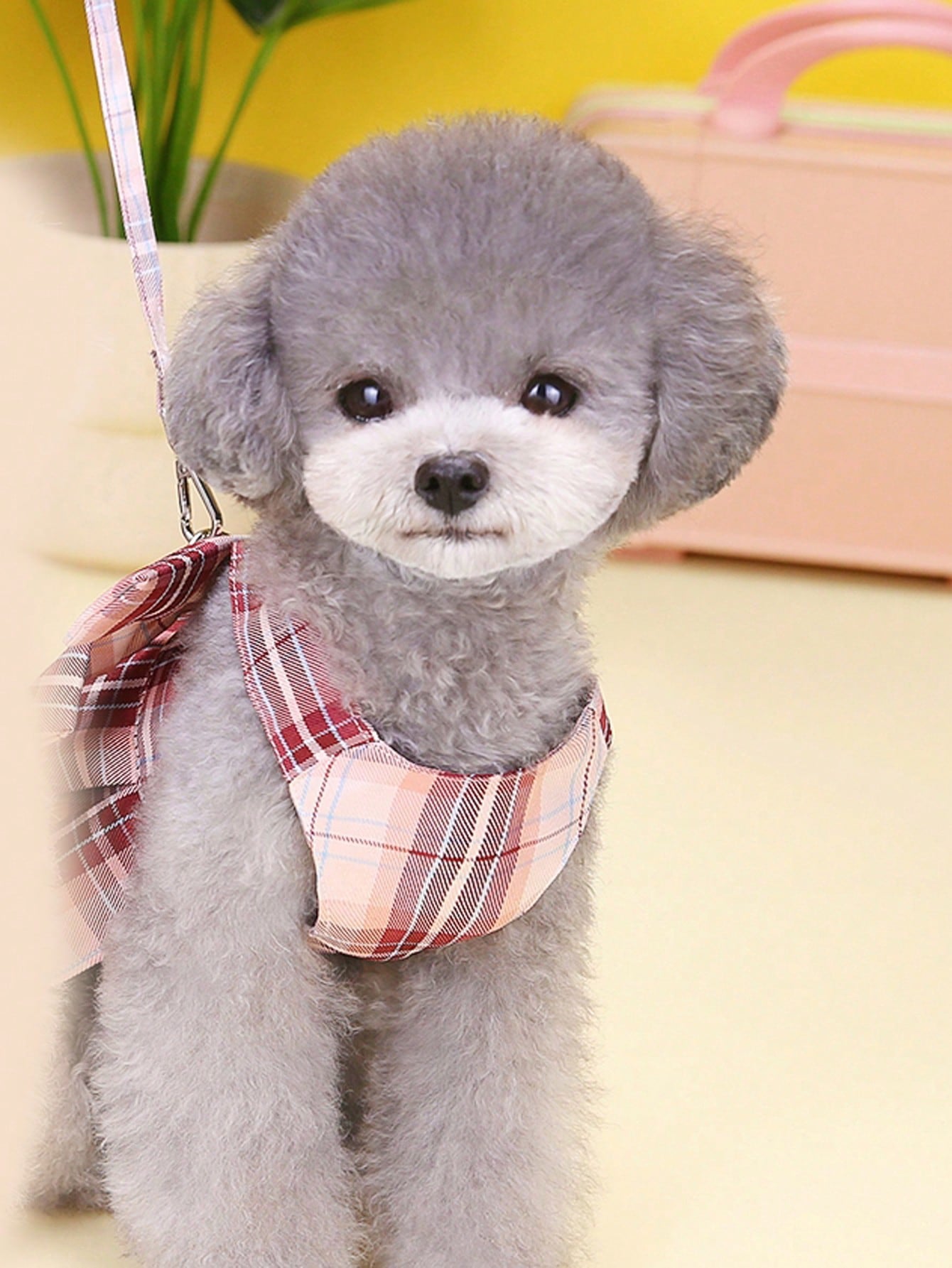 Multicolor plaid fabric pet harness skirt and leash set for cats and dogs, featuring a sweet skirt-style chest and back design for walking.