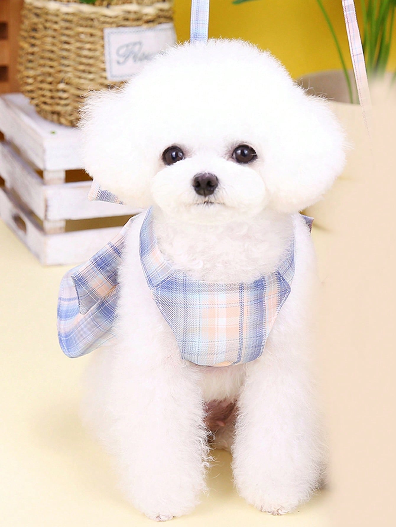 Multicolor plaid fabric pet harness skirt and leash set for cats and dogs, featuring a sweet skirt-style chest and back design for walking.
