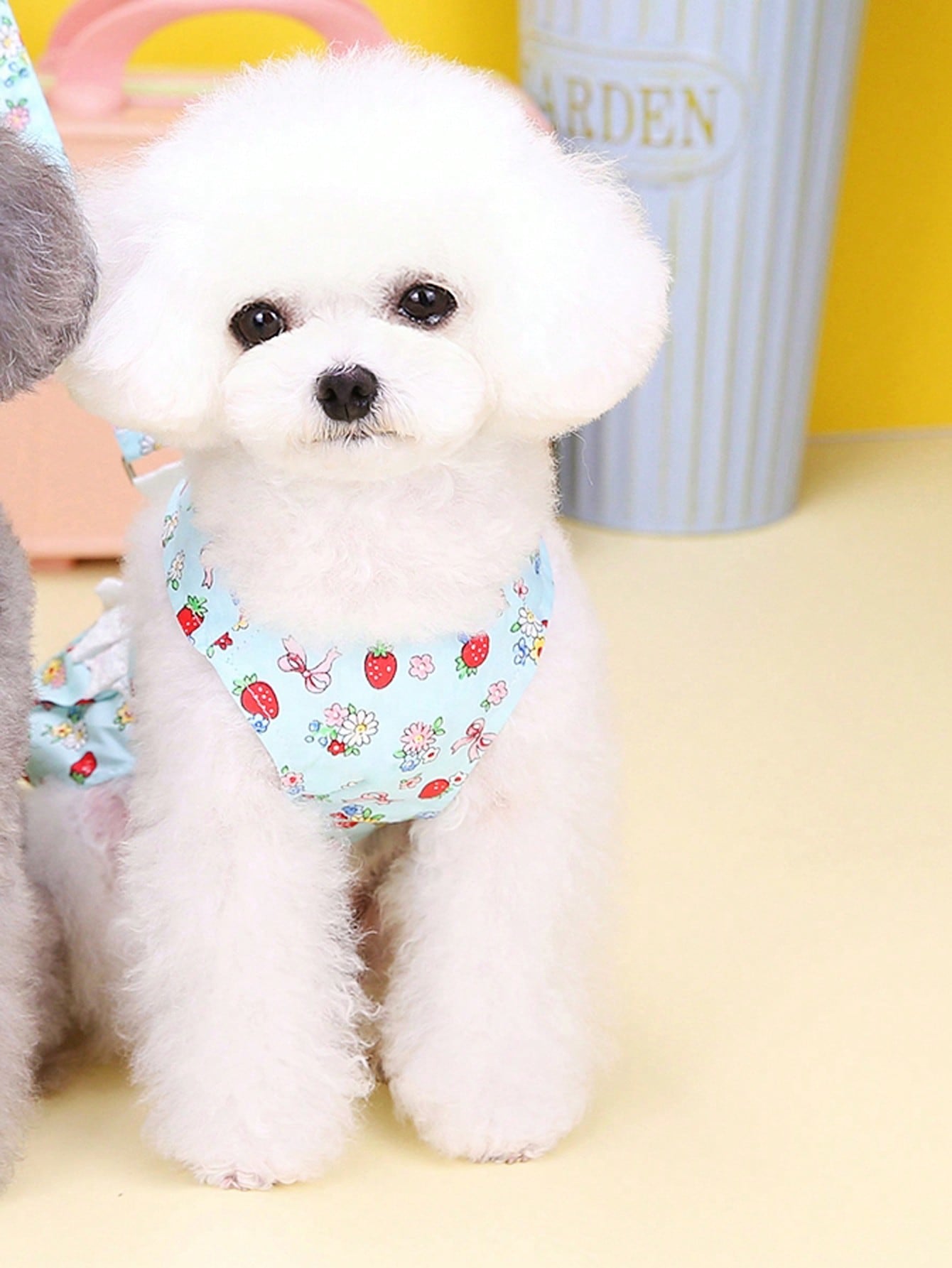 Multicolor fabric pet harness skirt set with matching leash for cats and dogs, designed as a sweet princess-style walking strap outfit for small pets.