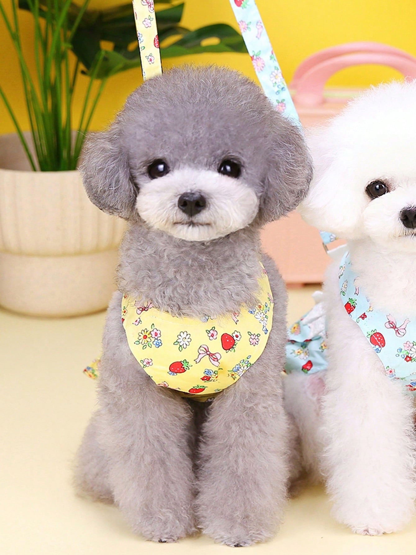 Multicolor fabric pet harness skirt set with matching leash for cats and dogs, designed as a sweet princess-style walking strap outfit for small pets.