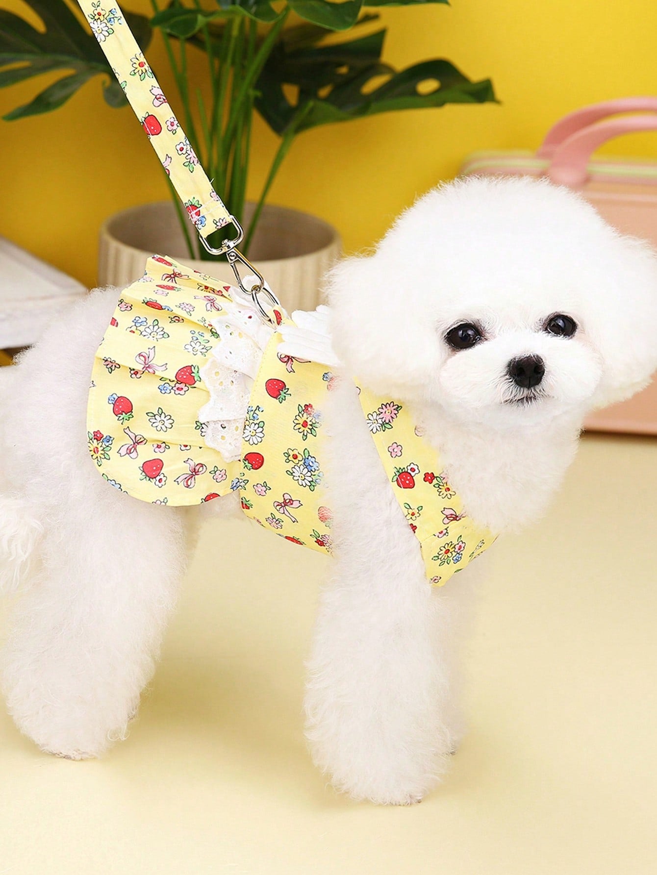 Multicolor fabric pet harness skirt set with matching leash for cats and dogs, designed as a sweet princess-style walking strap outfit for small pets.