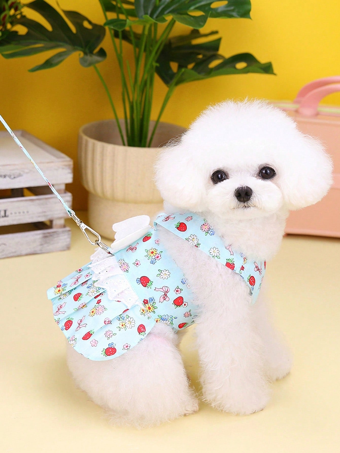 Multicolor fabric pet harness skirt set with matching leash for cats and dogs, designed as a sweet princess-style walking strap outfit for small pets.
