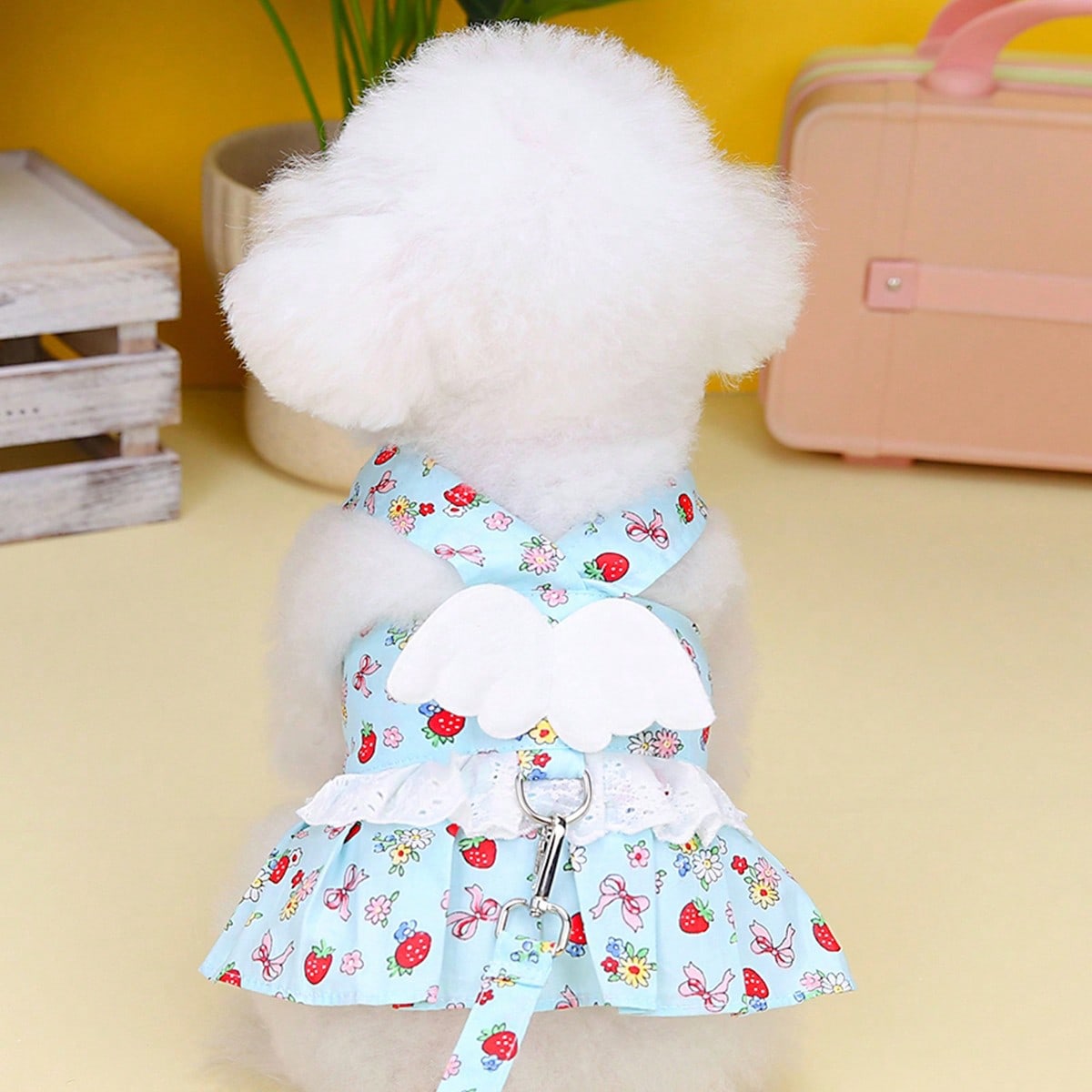 Multicolor fabric pet harness skirt set with matching leash for cats and dogs, designed as a sweet princess-style walking strap outfit for small pets.
