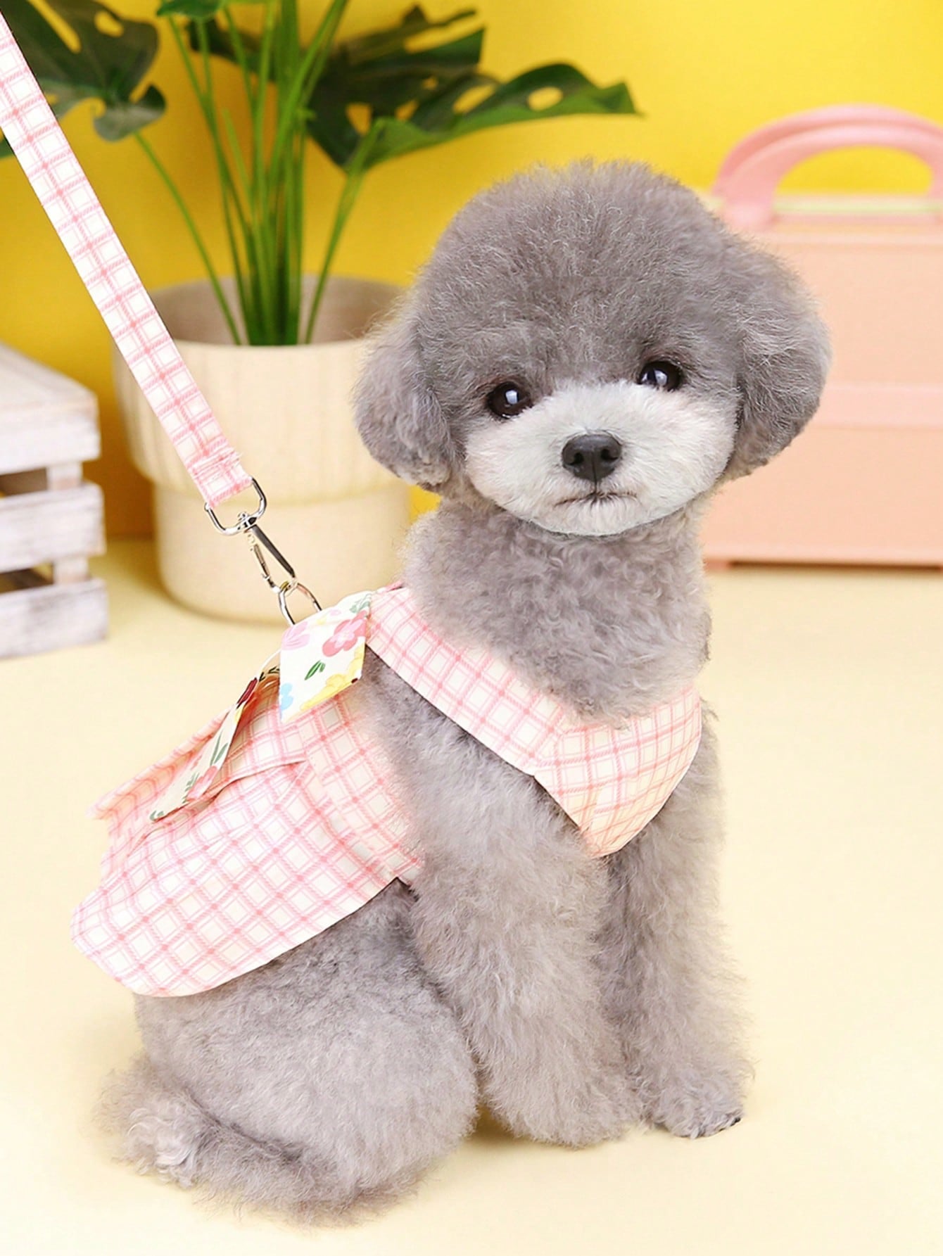 Pet harness skirt set with leash for cats and dogs, featuring a chest and back strap design with sweet princess skirt styling for walking.