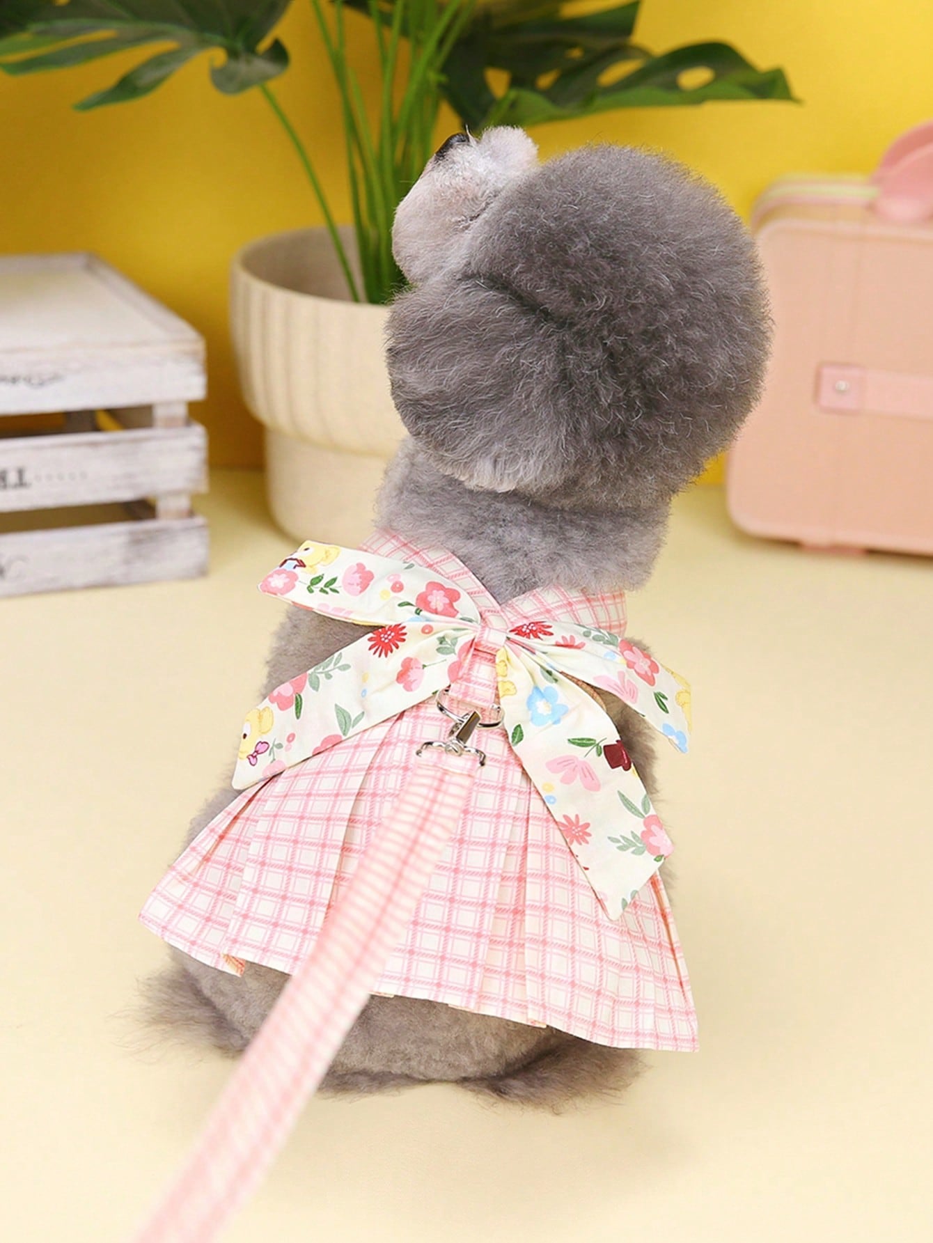 Pet harness skirt set with leash for cats and dogs, featuring a chest and back strap design with sweet princess skirt styling for walking.