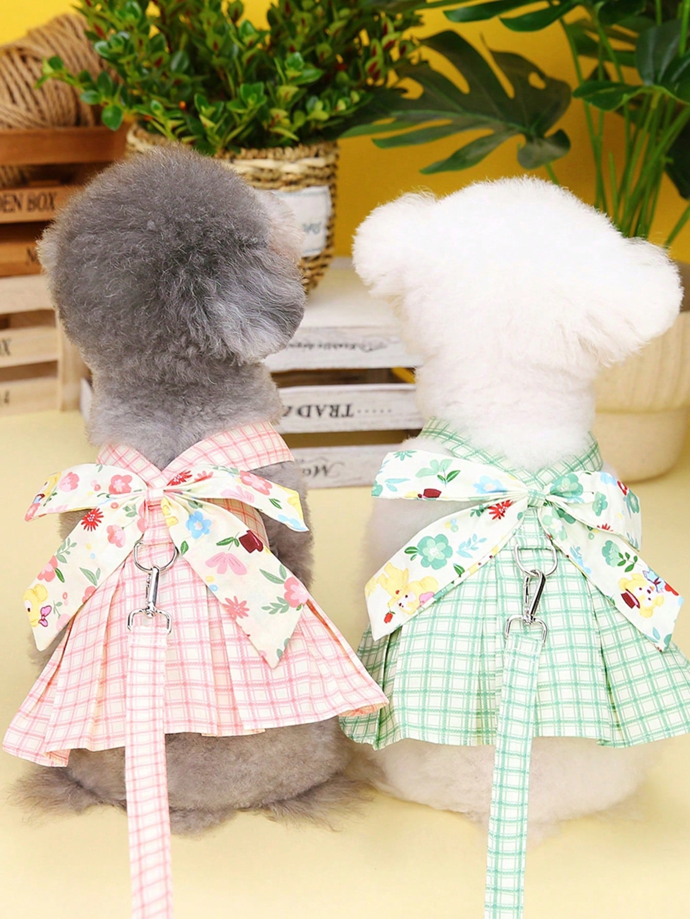 Pet harness skirt set with leash for cats and dogs, featuring a chest and back strap design with sweet princess skirt styling for walking.