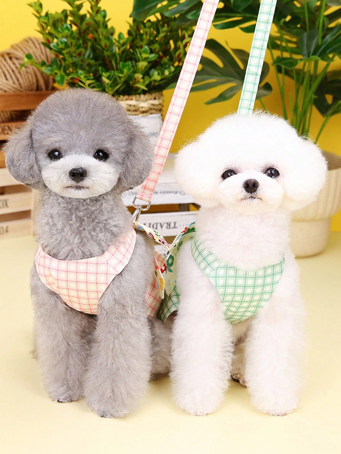 Pet harness skirt set with leash for cats and dogs, featuring a chest and back strap design with sweet princess skirt styling for walking.