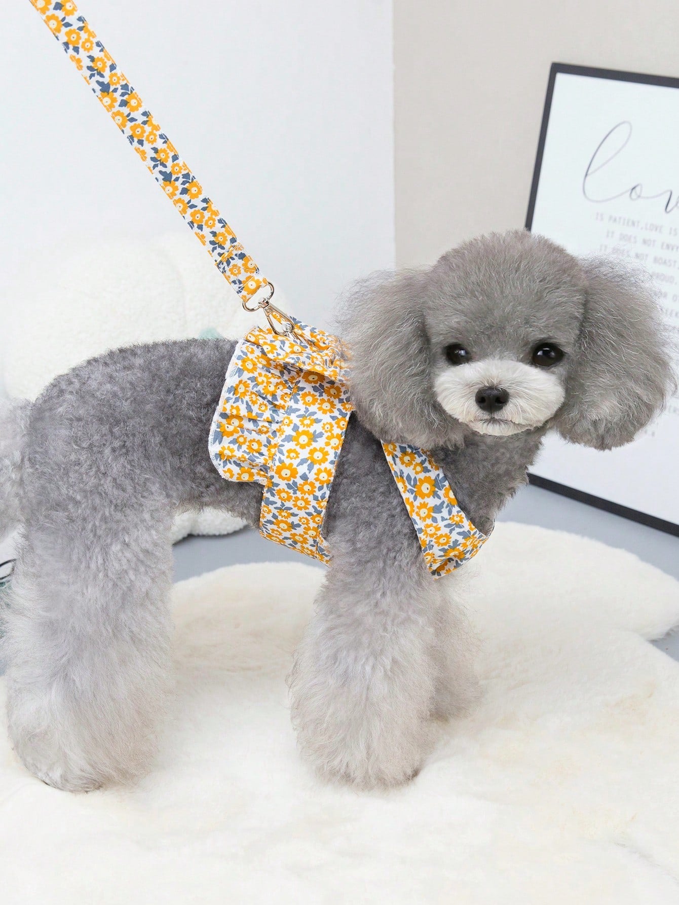 Multicolor fabric pet harness skirt and leash set with letter and plant patterns for cats and dogs