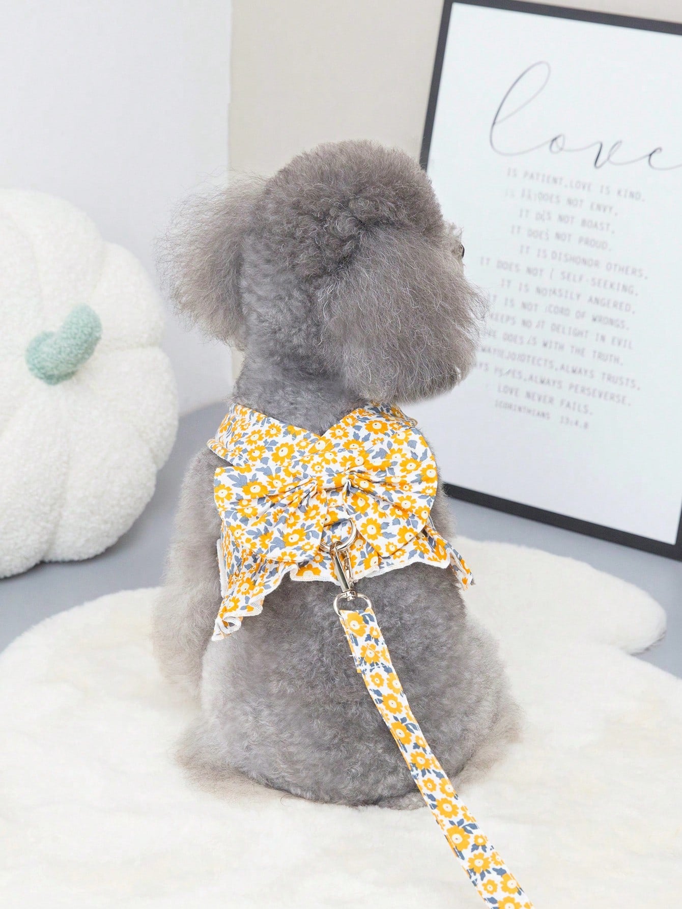 Multicolor fabric pet harness skirt and leash set with letter and plant patterns for cats and dogs