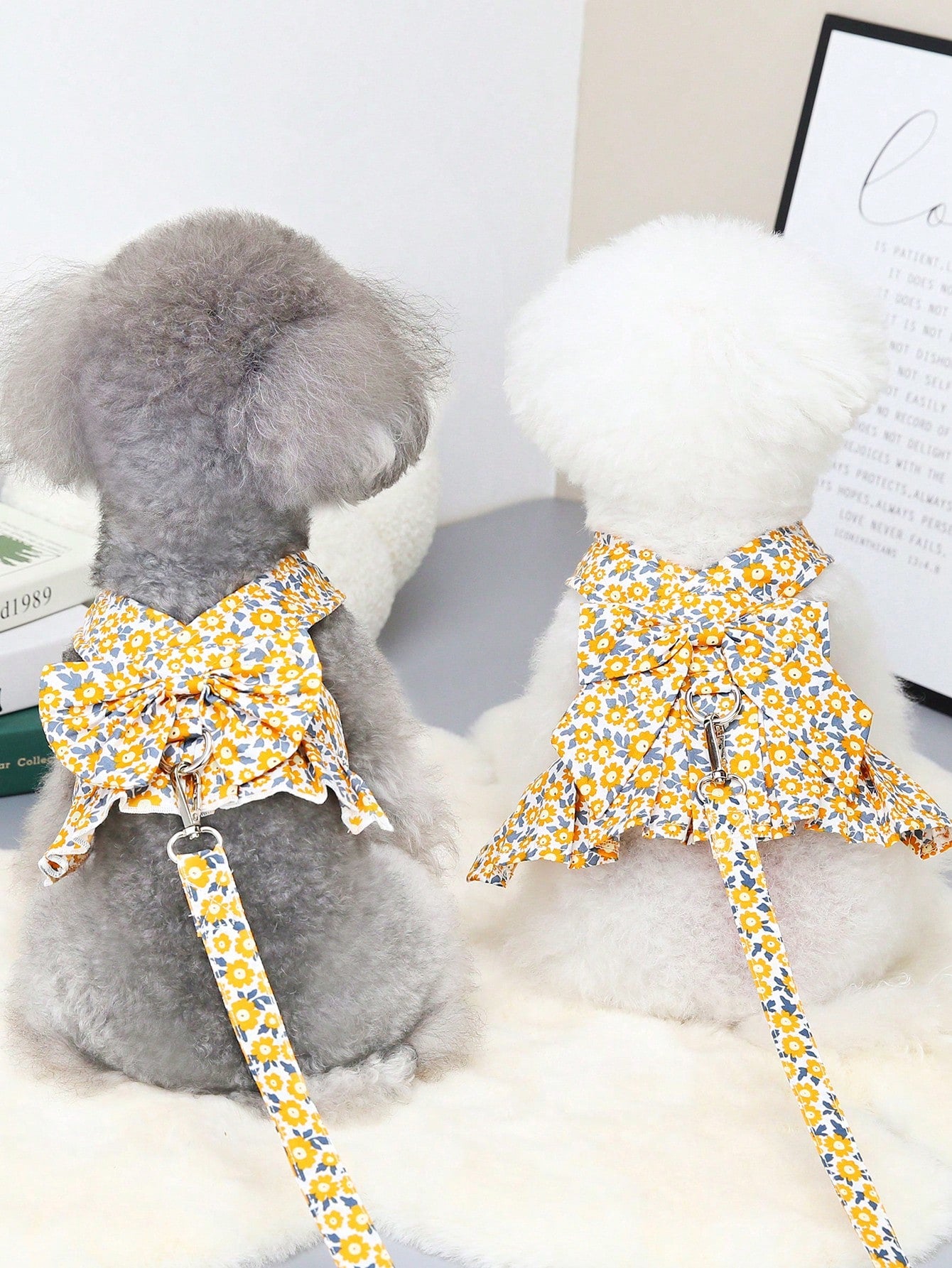 Multicolor fabric pet harness skirt and leash set with letter and plant patterns for cats and dogs