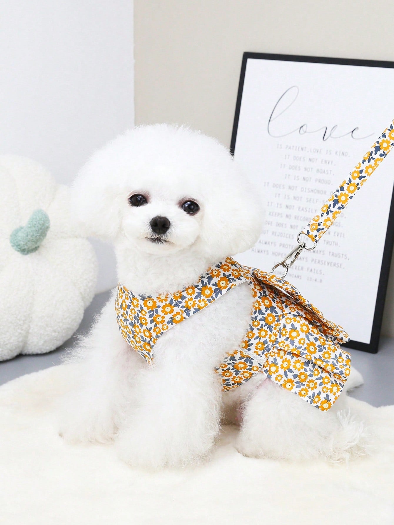 Multicolor fabric pet harness skirt and leash set with letter and plant patterns for cats and dogs