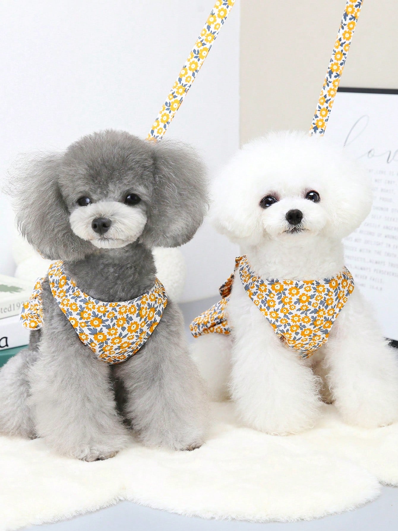 Multicolor fabric pet harness skirt and leash set with letter and plant patterns for cats and dogs