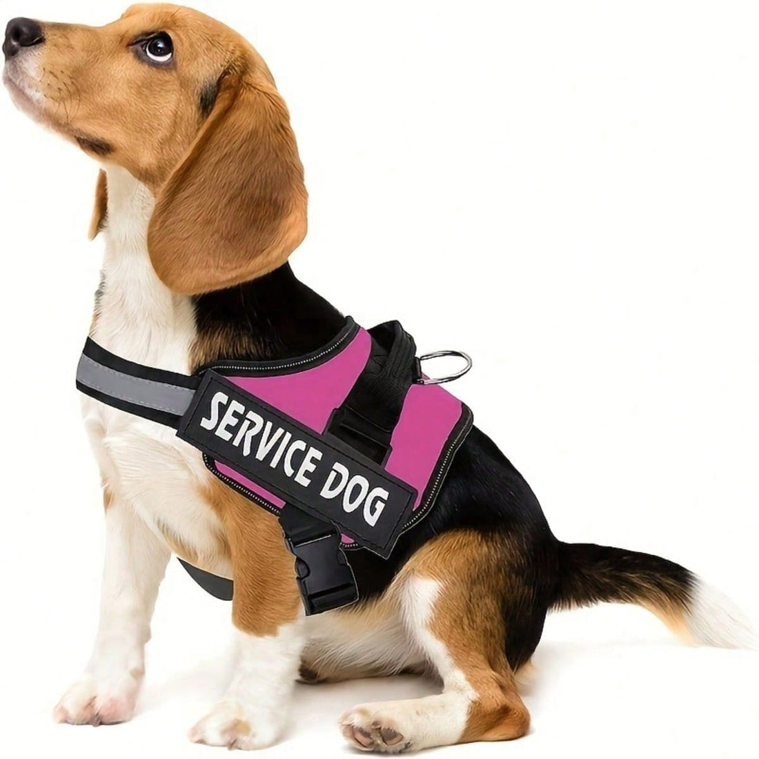 Multicolor polyester reflective chest strap dog harness leash with letter pattern, suitable for medium and large dogs and also cats