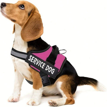 Multicolor polyester reflective chest strap dog harness leash with letter pattern, suitable for medium and large dogs and also cats