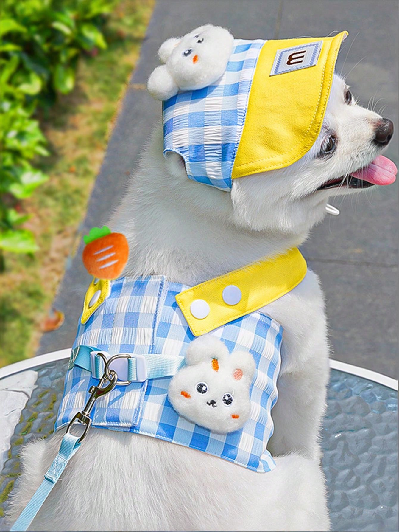Multicolor polyester lace pet carrier and outdoor wear for cats and dogs