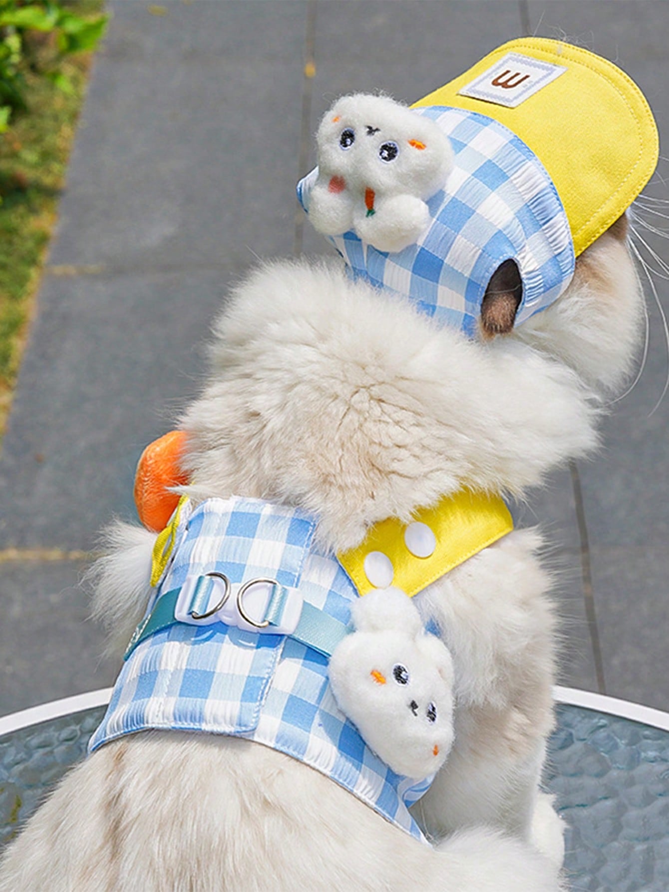 Multicolor polyester lace pet carrier and outdoor wear for cats and dogs