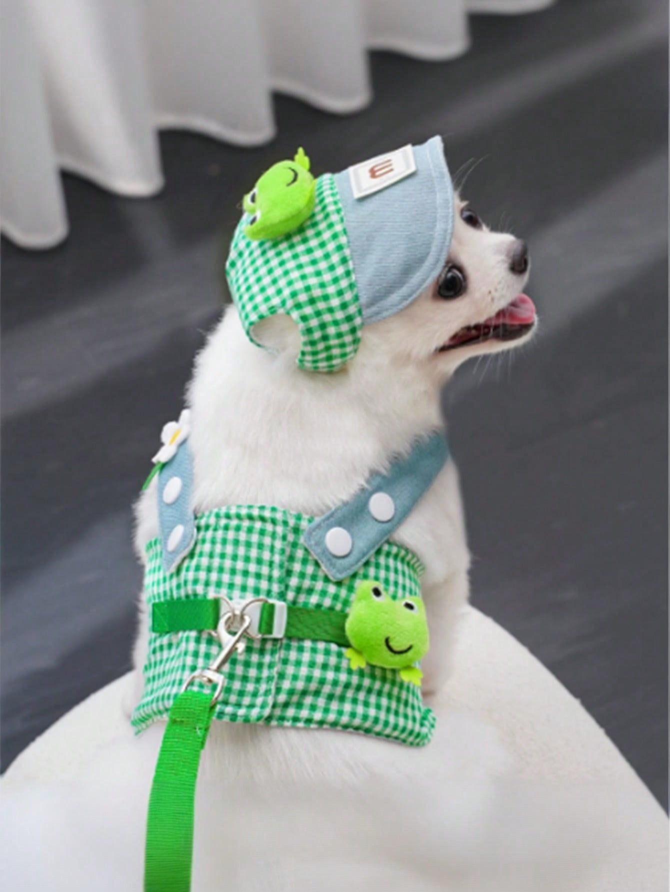 Multicolor polyester pet harness and leash set with cute frog pattern for cats and dogs, designed for outdoor walks, travel, hiking, and daily wear.