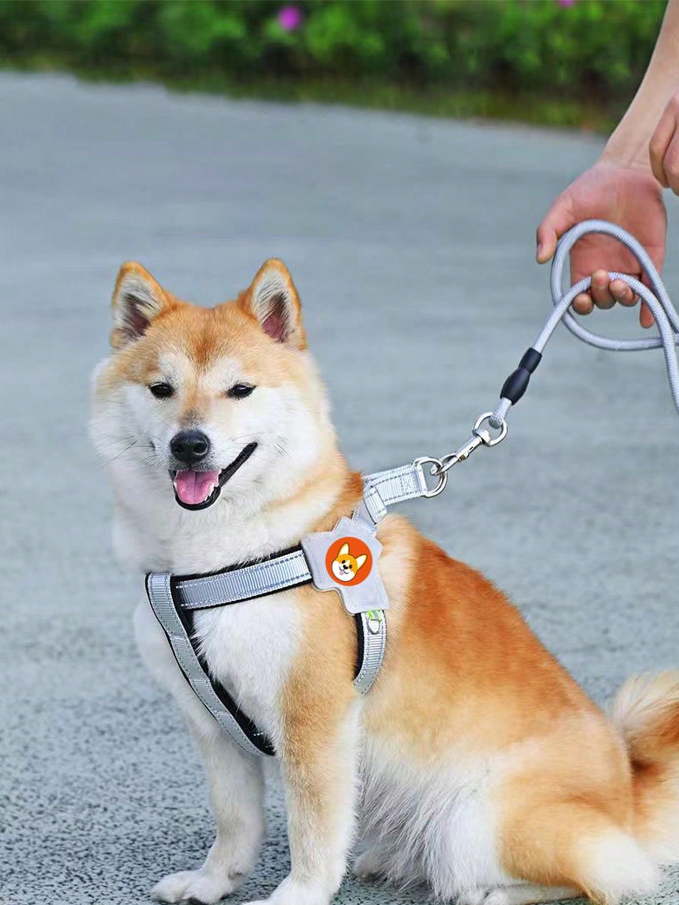 Multicolor nylon breathable mesh dog harness with Y-shaped design, dual D-rings, reflective strips, and Christmas pattern for outdoor walking and training.