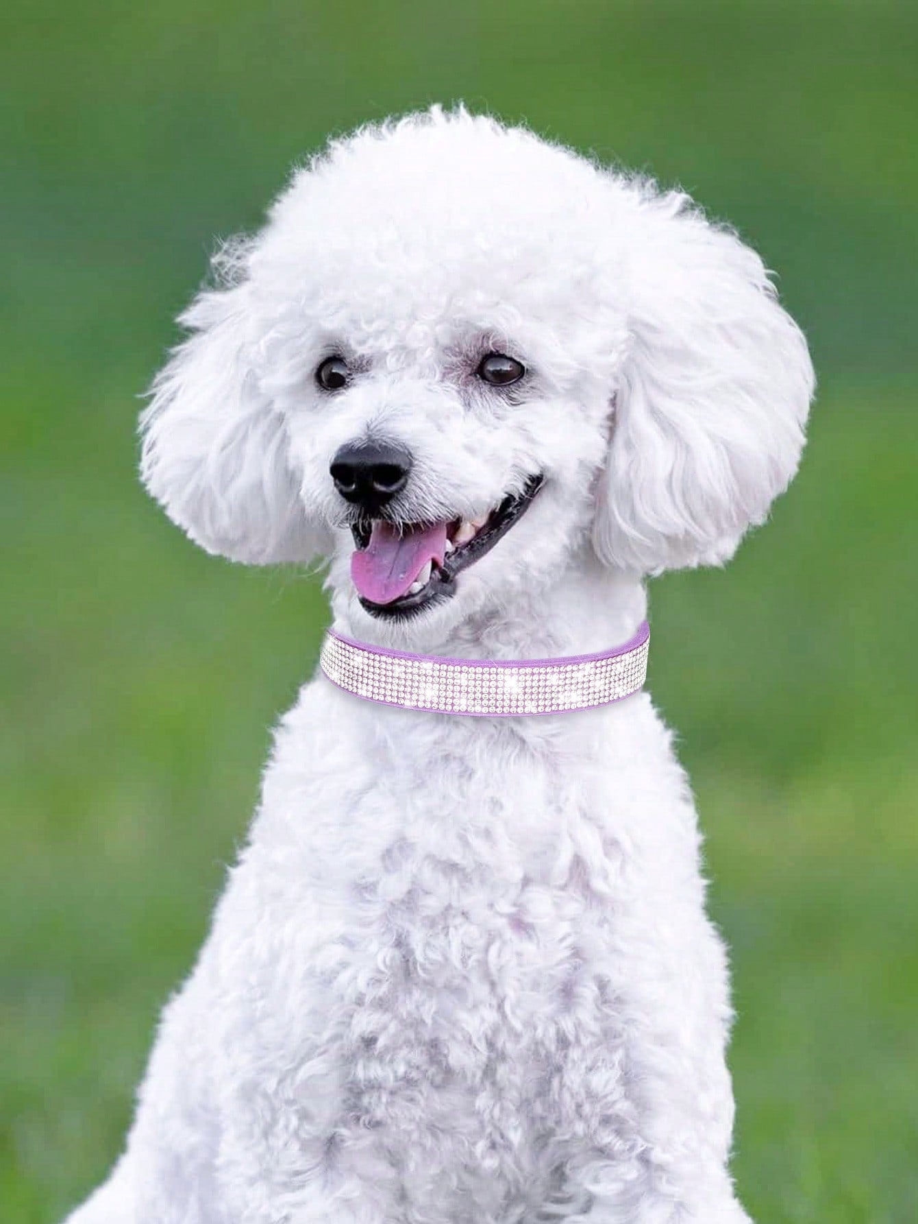 Multicolor sparkling crystal adjustable dog and cat collar made from polyurethane PU for pets with 16-46cm neck size