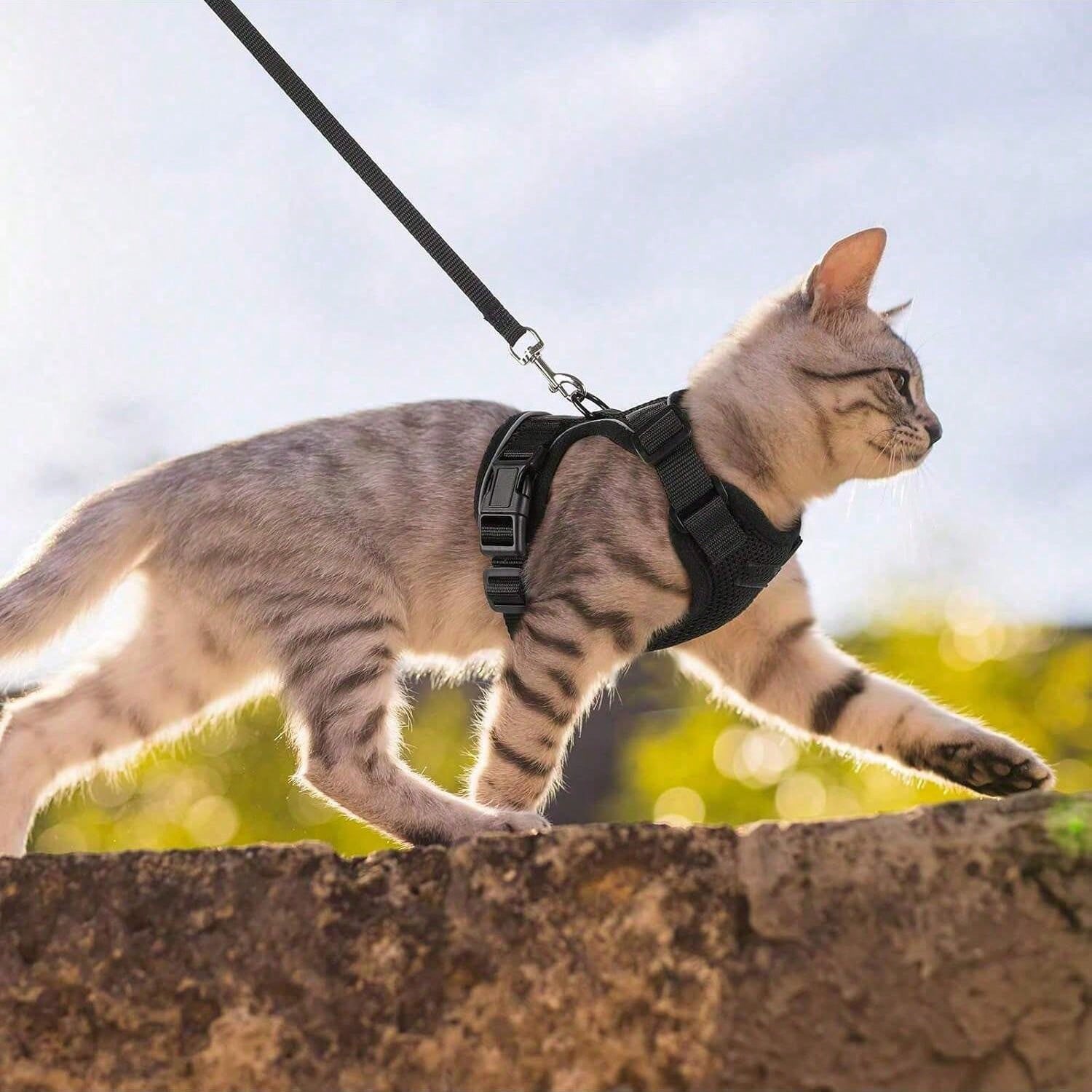 Black adjustable polyester cat harness vest with matching leash, escape-proof design, breathable reflective jacket style for walking and easy control