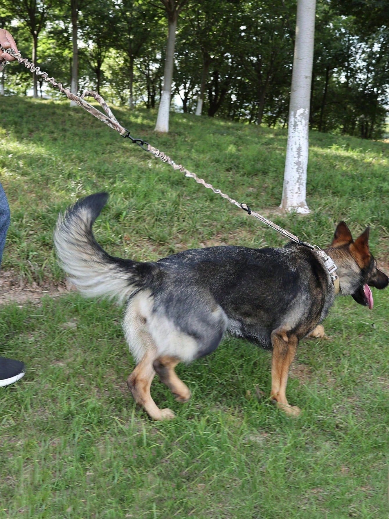 Camouflage tactical dog harness and leash set with pockets, adjustable collar and chest girth for small and medium dogs