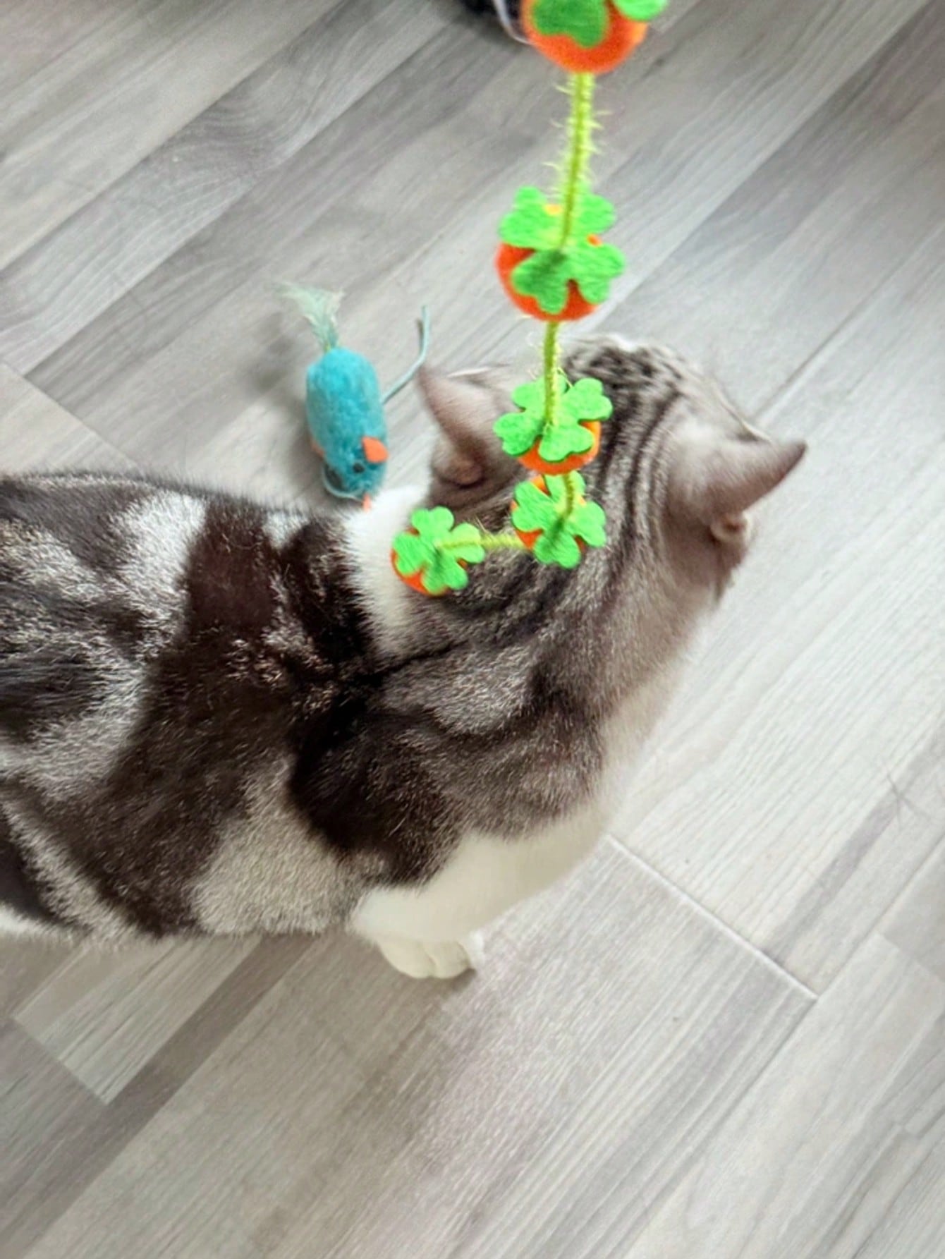 2pcs/Set Colorful Cat Teaser Wands With Bells, Interactive Cat Toys For Exercise And Entertainment, Plush Ball Cat Supplies