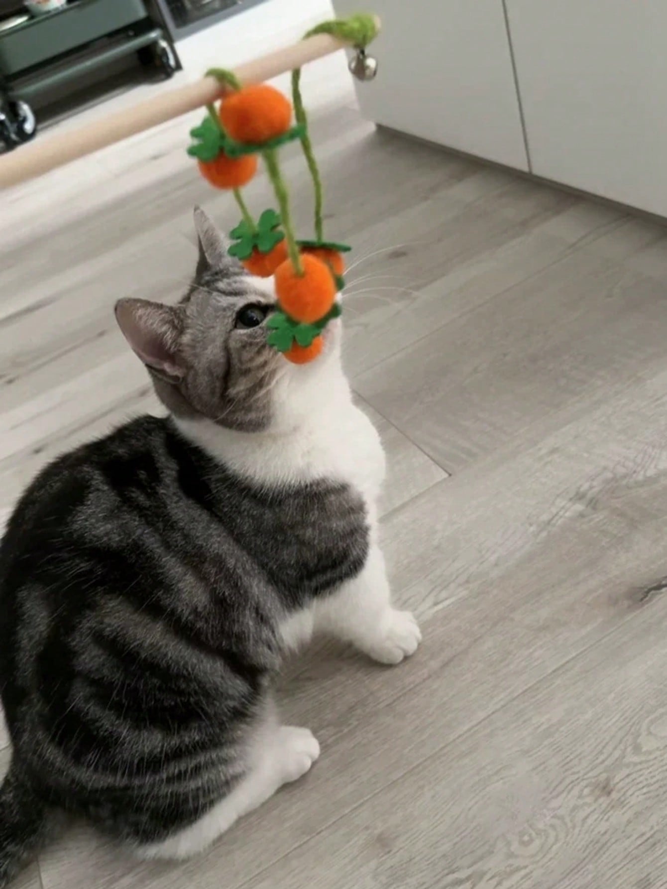 2pcs/Set Colorful Cat Teaser Wands With Bells, Interactive Cat Toys For Exercise And Entertainment, Plush Ball Cat Supplies